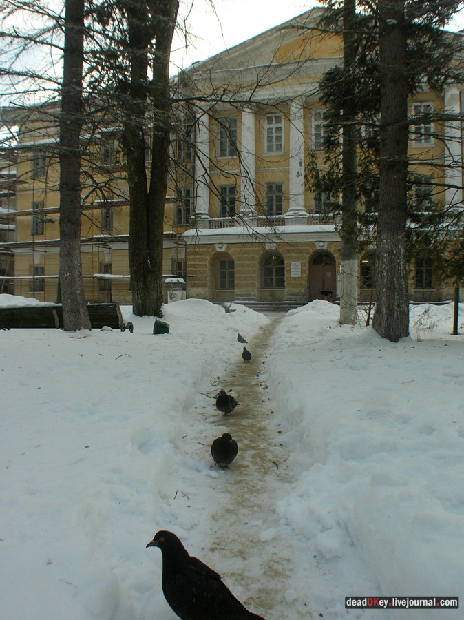 усадьба Горенки