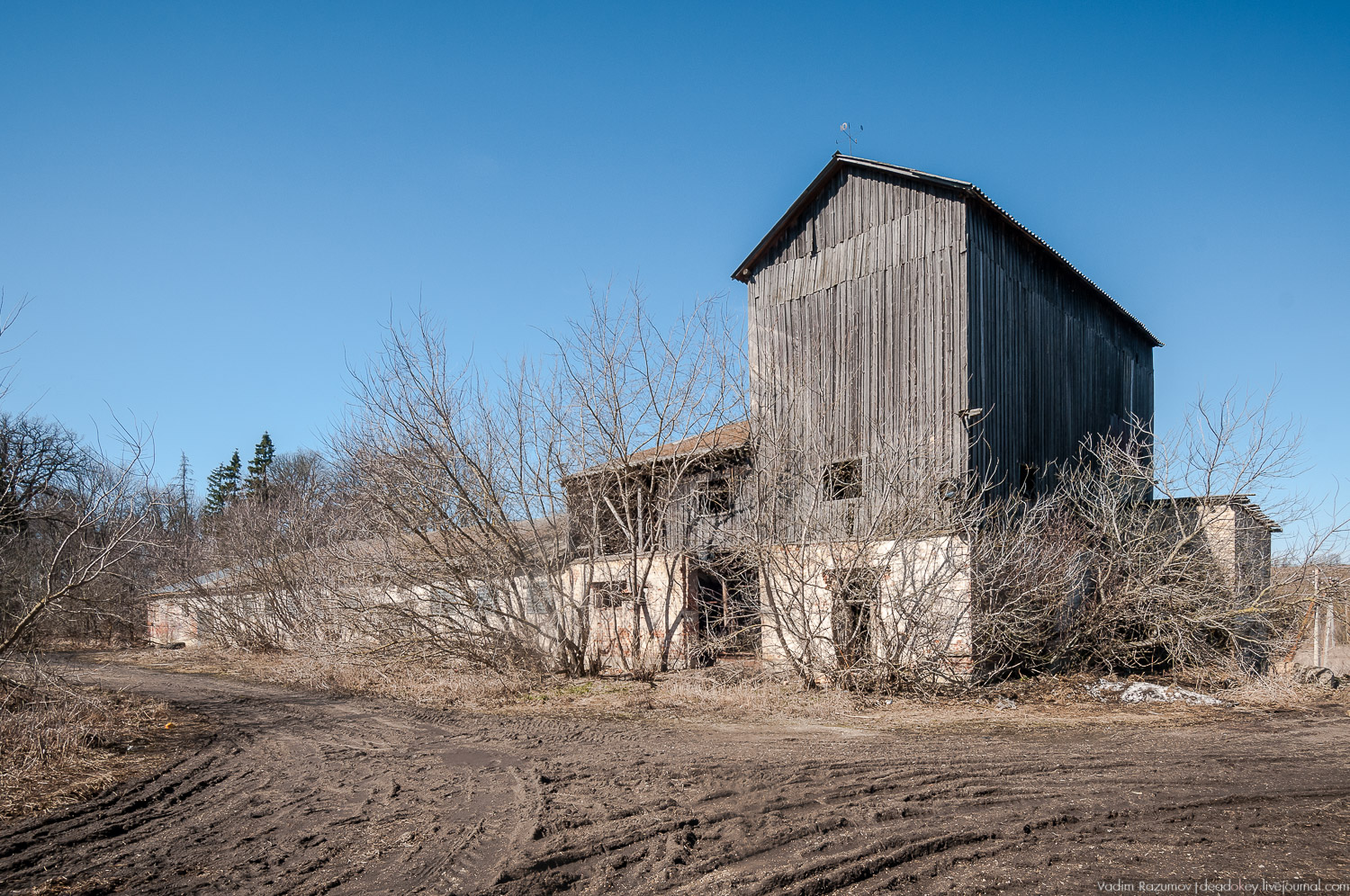 усадьба Моховое, Орловская область