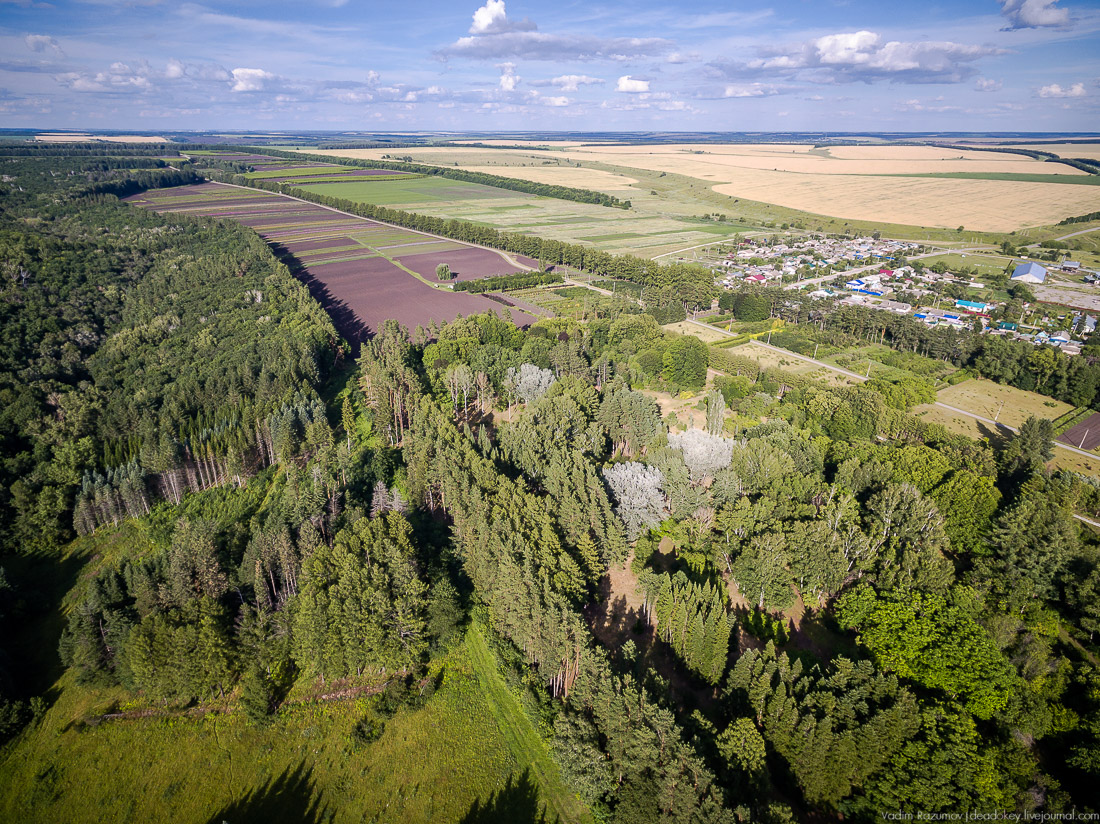 усадьба Барсуково
