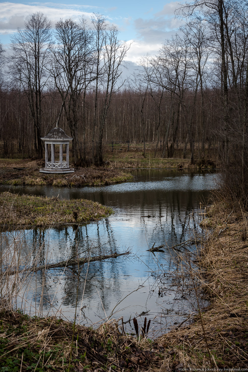 усадьба Домотканово, весна 2018 год