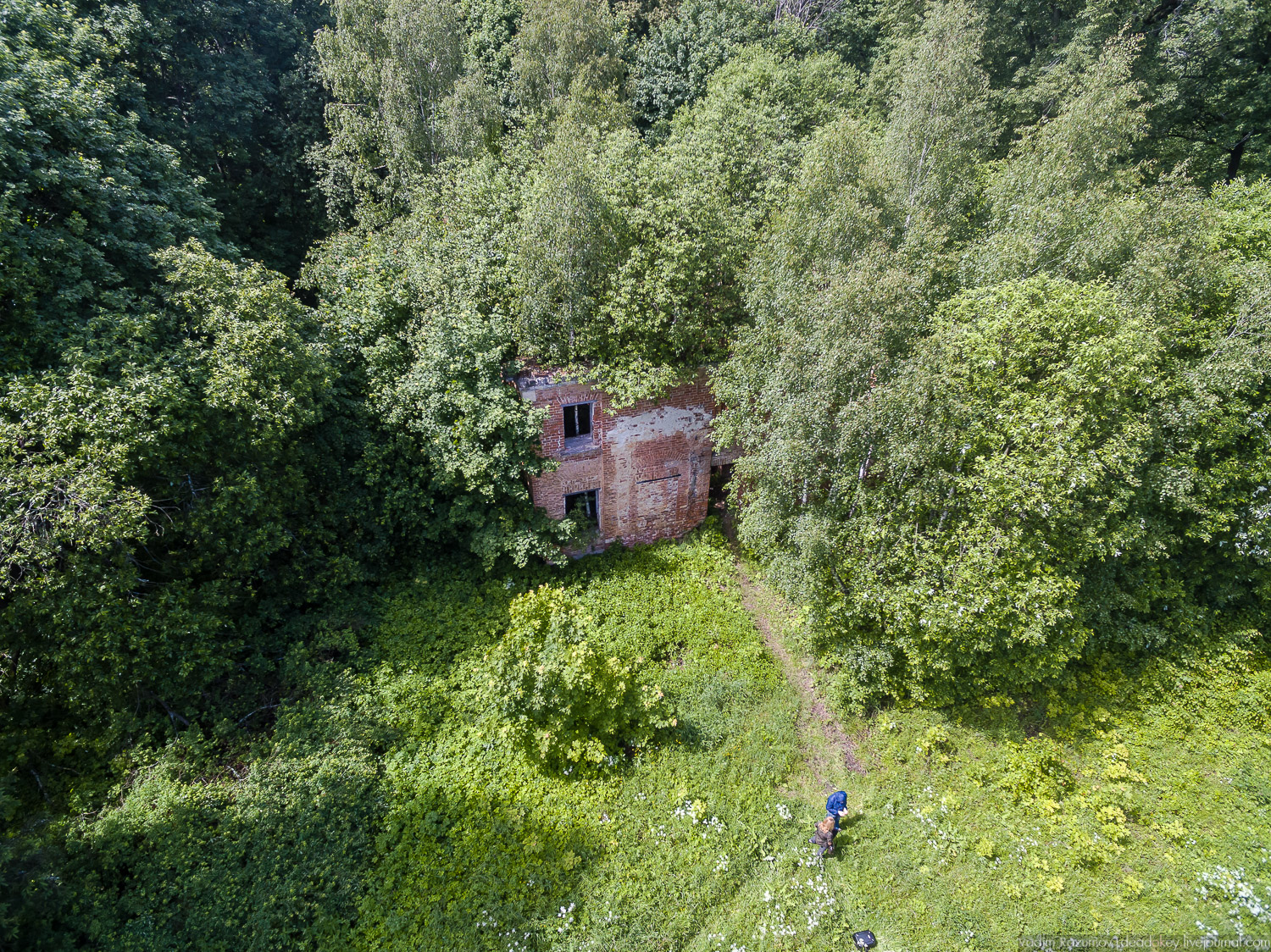 Программа Усадьбы Подмосковья, рубль за метр 2018