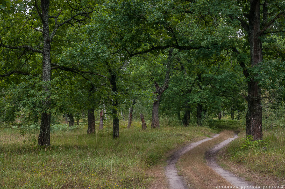 Меховицы, дом фабриканта Карпова, Чистые Росы, продается усадьба