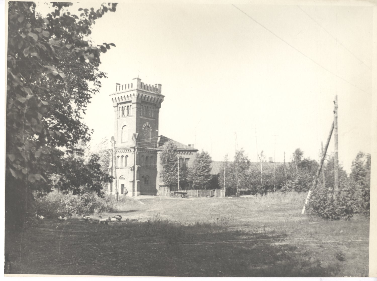 усадьба Старожилово, конезавод