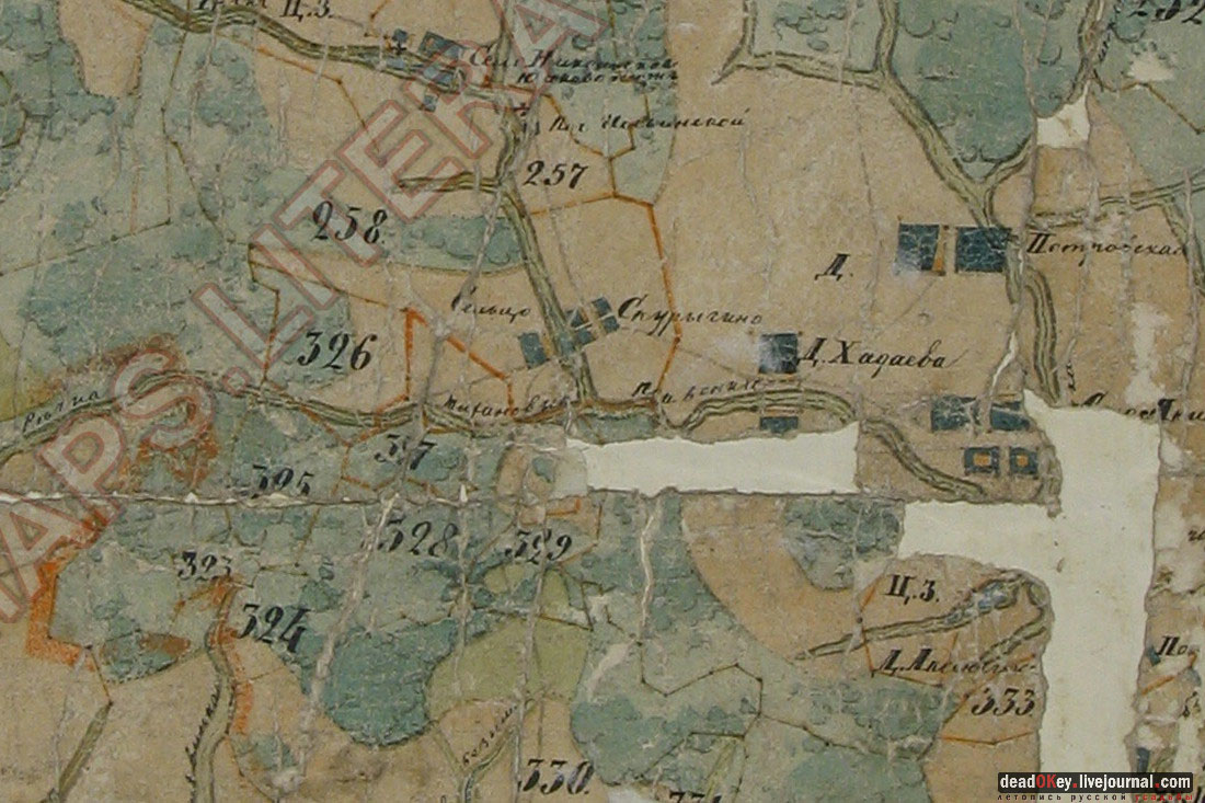 усадьба Васильевское-Скурыгино