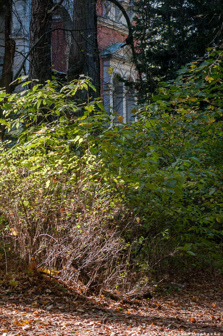 усадьба Быково, квест аудиогид