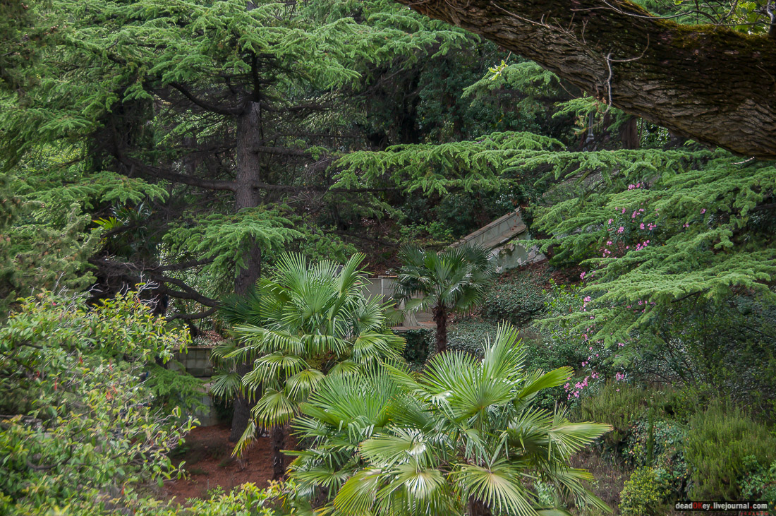 усадьба дворец Дюльбер великого князя Петра Николаевича