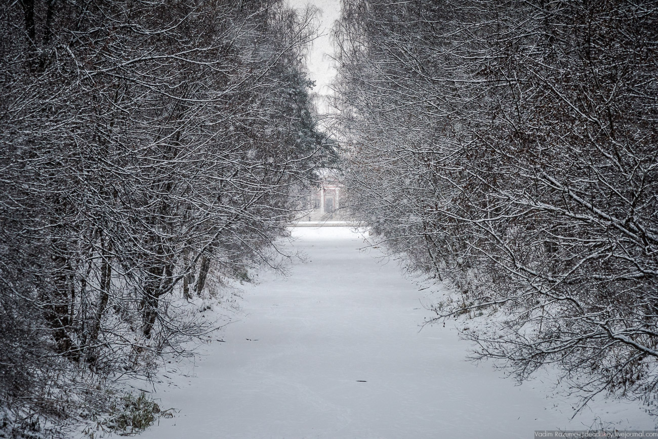Усадьба Кусково зимой, 2018 год
