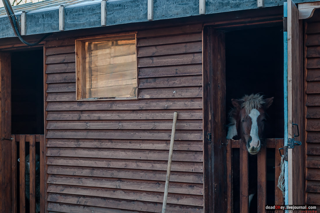 Скорняково-Архангельское