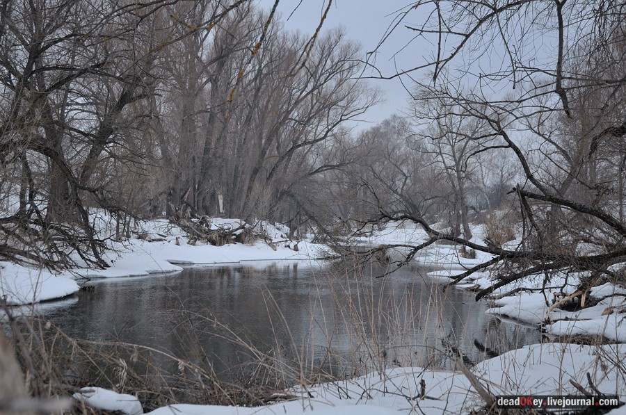 усадьба Авдотьино