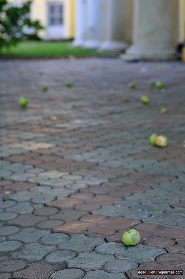 усадьба Соллогуба (городская усадьба Долгоруких или Дом Ростовых) на ул. Поварская д.52