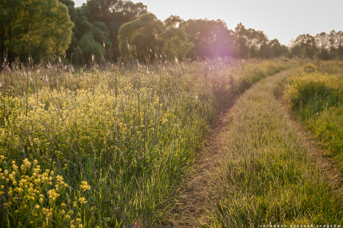усадьба Покровское