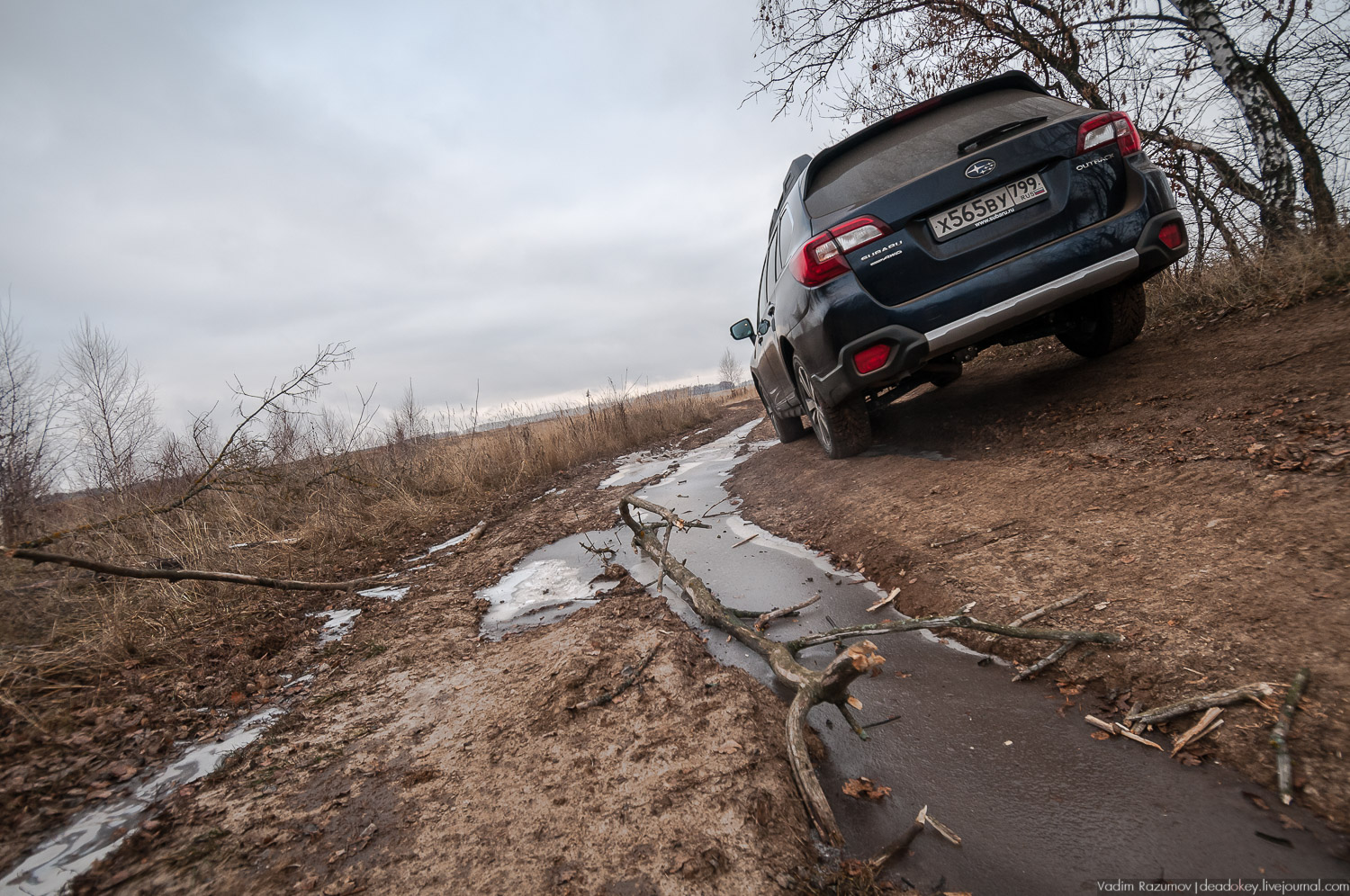усадьба Горки, Заразы, Тульская область, церковь Михаила Архангела