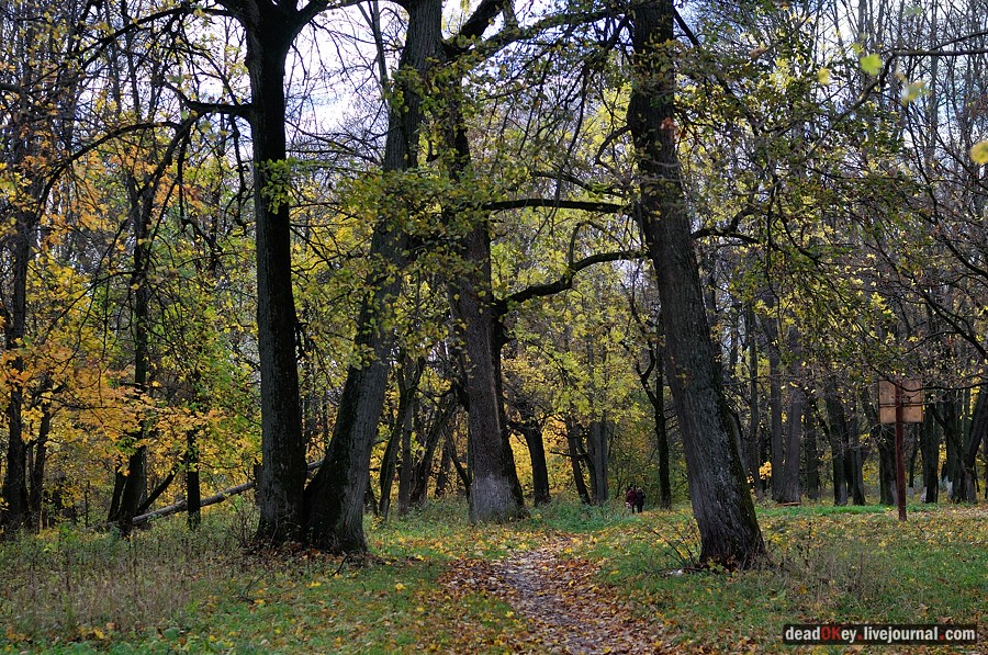 усадьба Авчурино