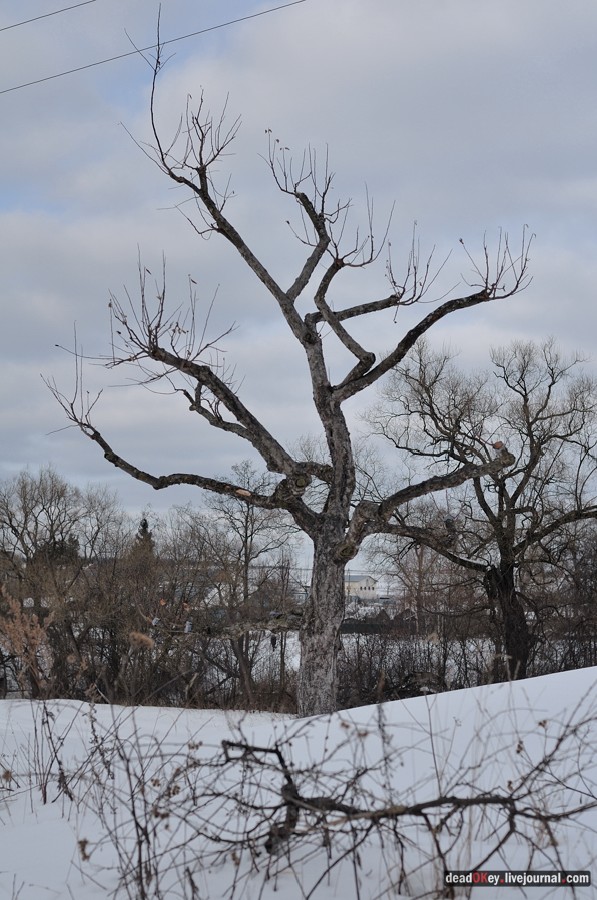 усадьба Милюково