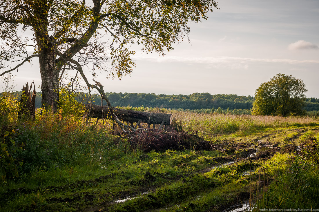 дер. Кучепалда, Архангельская обл.