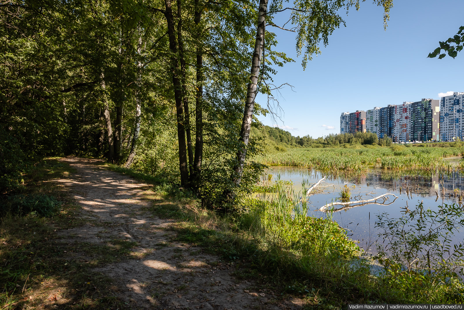 Усадьба Заболотье, парк, курганы, Долгопрудный, Москва