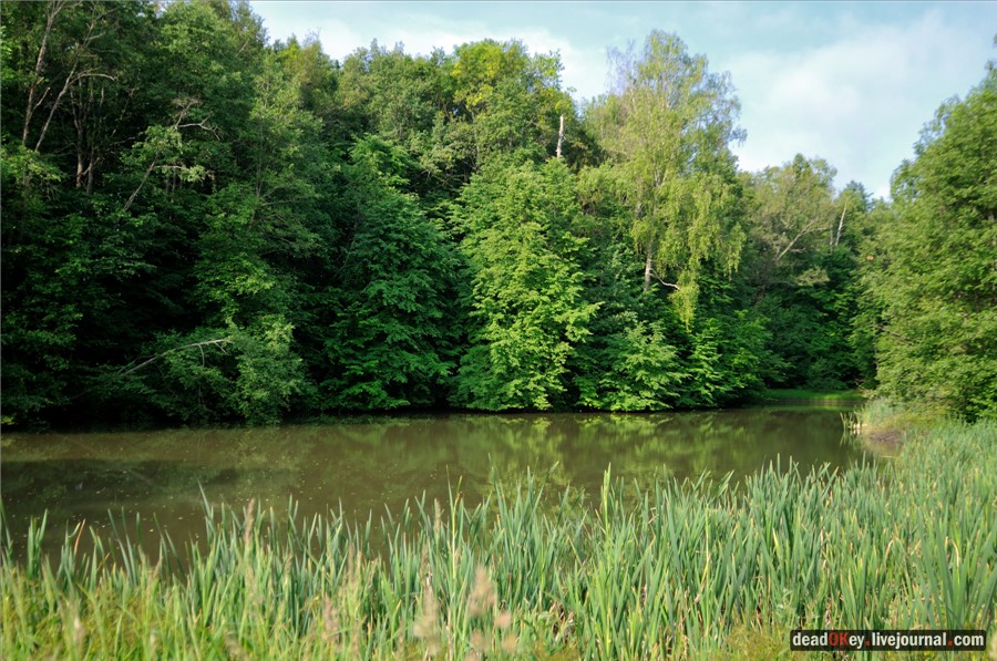 усадьба Кудрявцево