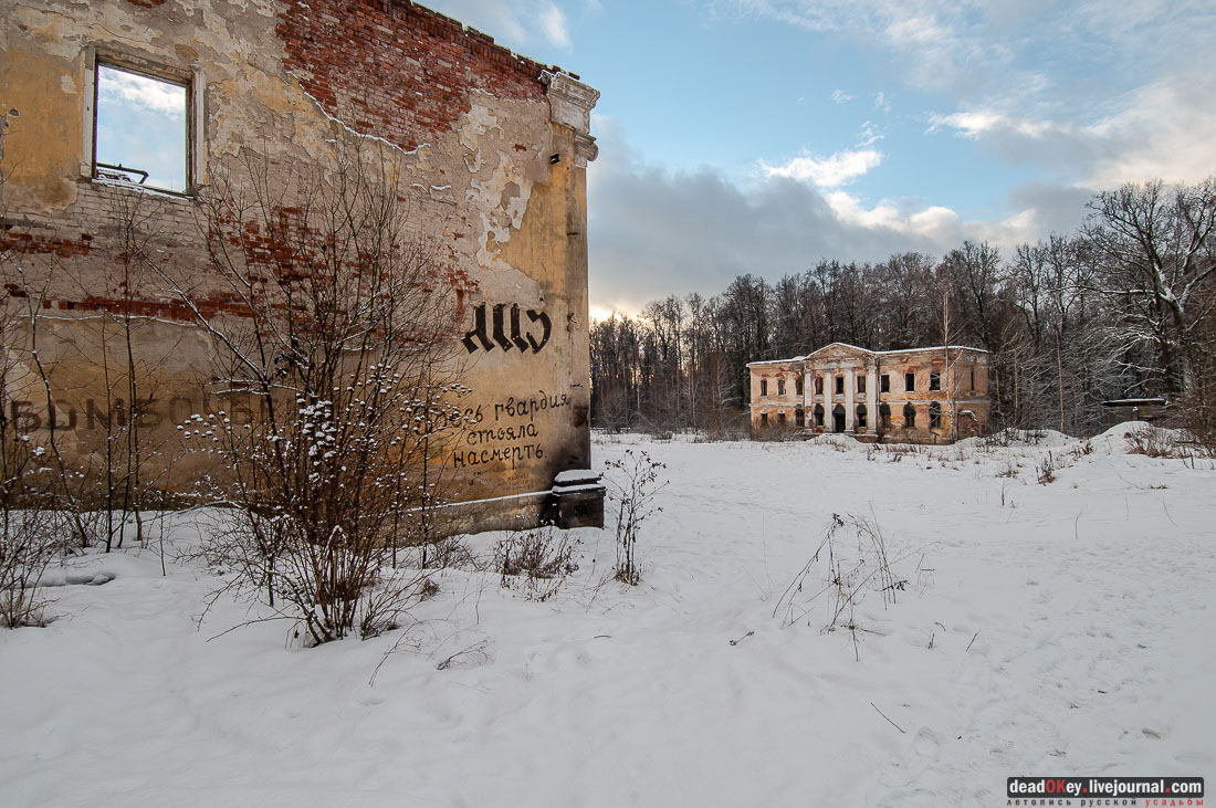 усадьба Гребнево, аукцион, съемки для телеканала Москва-24