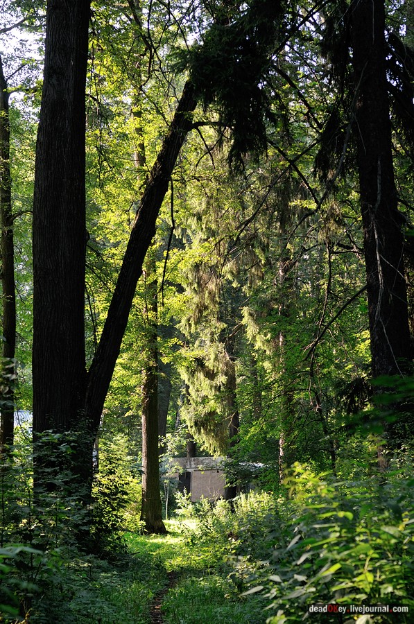 усадьба Шишкино