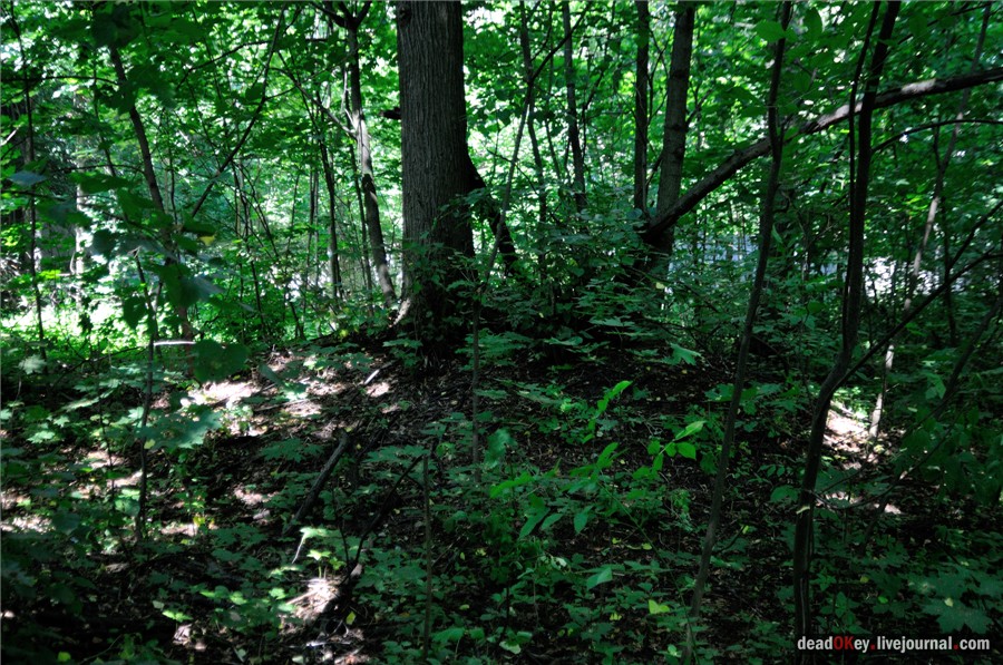 усадьба Образцово