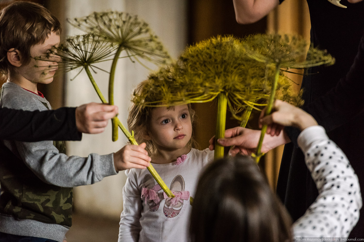 Ботанический сад, фондовая оранжерея, Экоэлектричка, борщевик