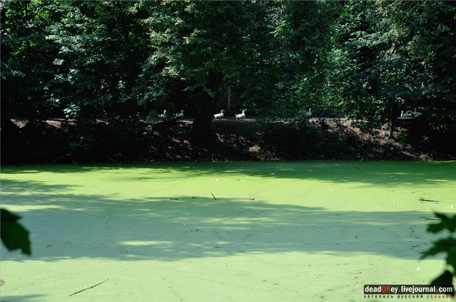 усадьба Глинки Якова Брюса (пансионат Монино)