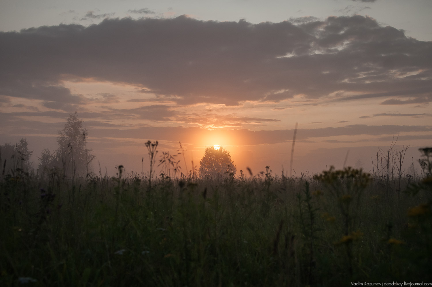 Закат, туман, Стромынь