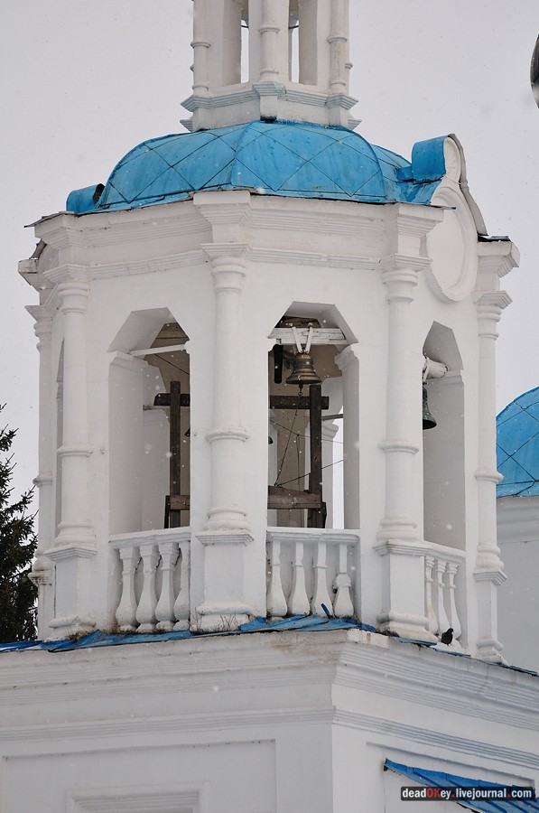 усадьба Кривцы