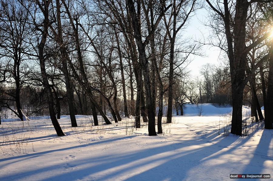 усадьба Старбеево