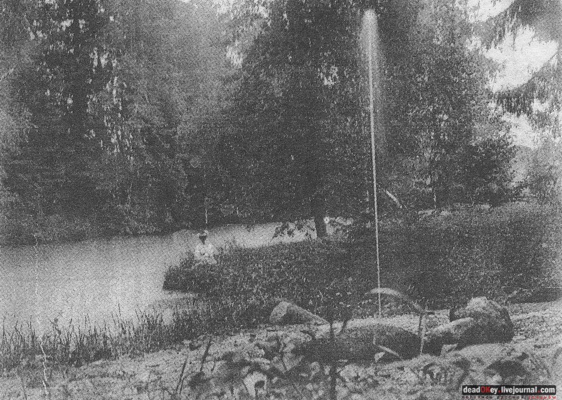 усадьба Василёво, Тверская область, Торжокский район