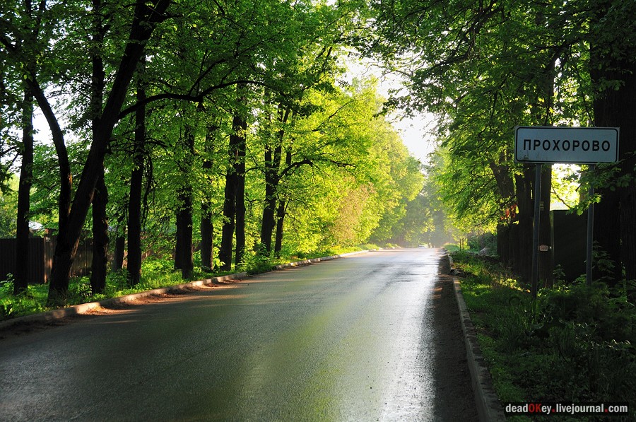 усадьба Прохорово