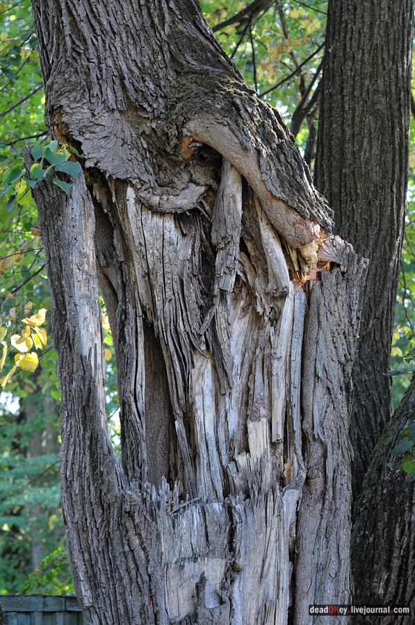 усадьба Опарино