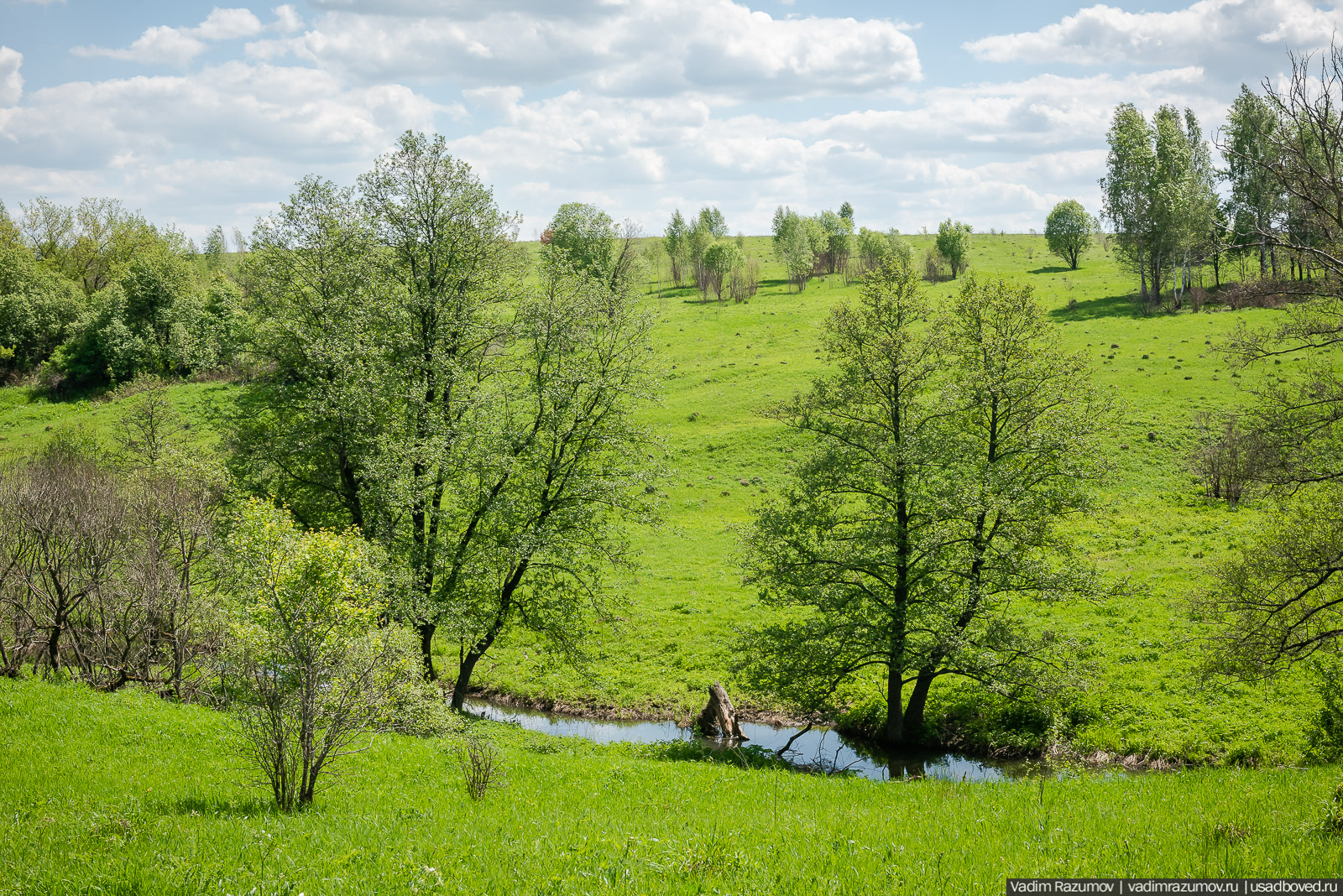 Старое Глазово, могила Василия Баженова, 2021 год