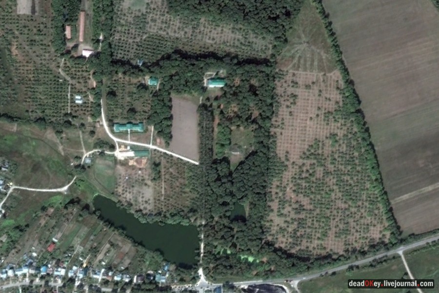 усадьба Ясная Поляна