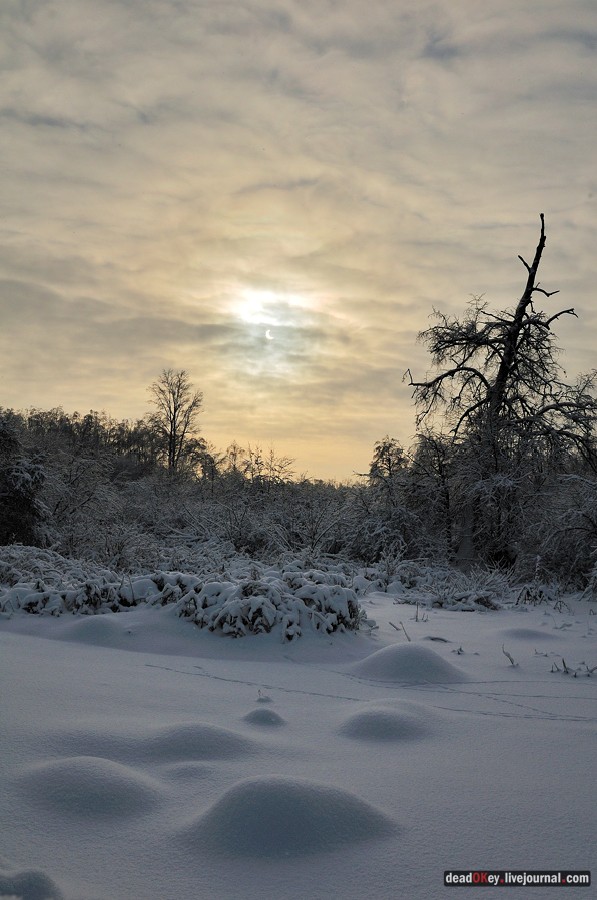 усадьба Красково