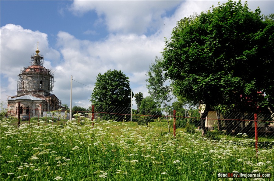 усадьба Петровское (Большепетровское)