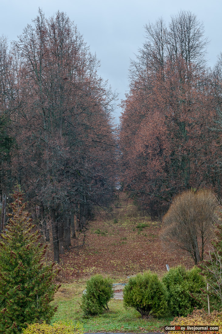 Усадьба Любвино