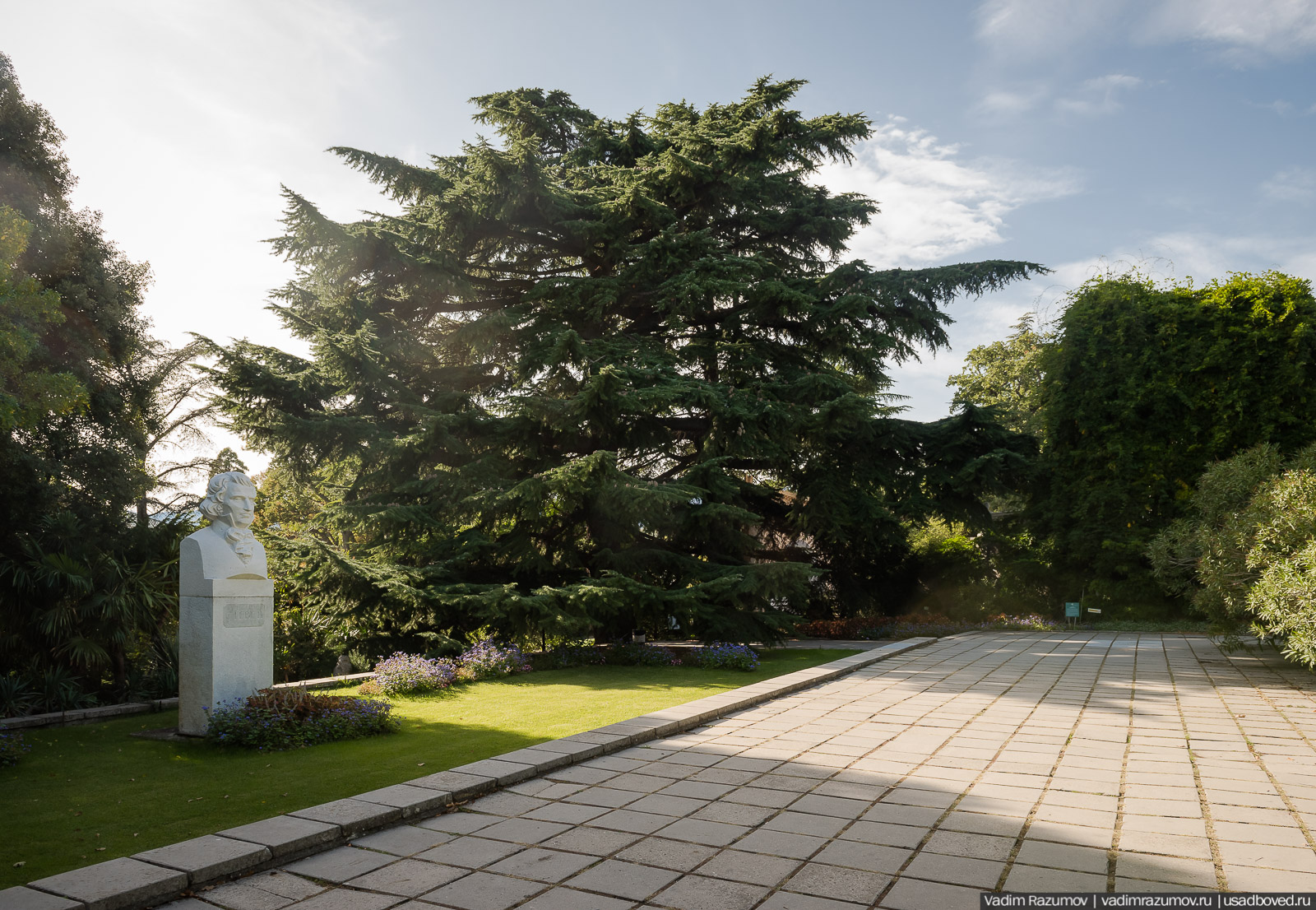 Никитский ботанический сад