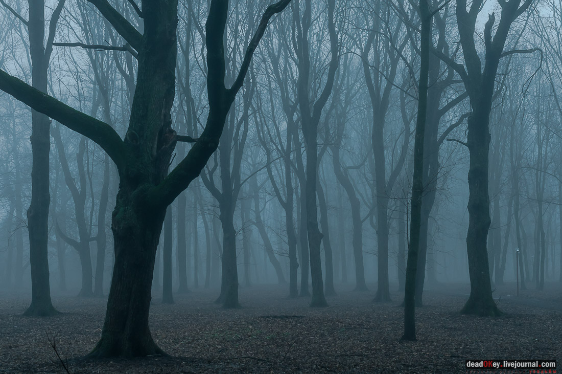 усадьба Асеевых, г.Тамбов