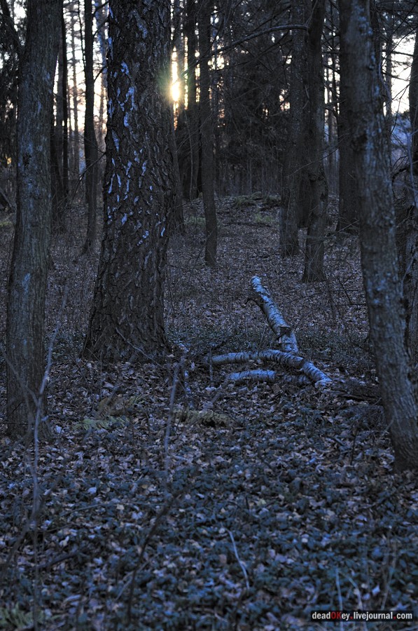 усадьба Ивановское