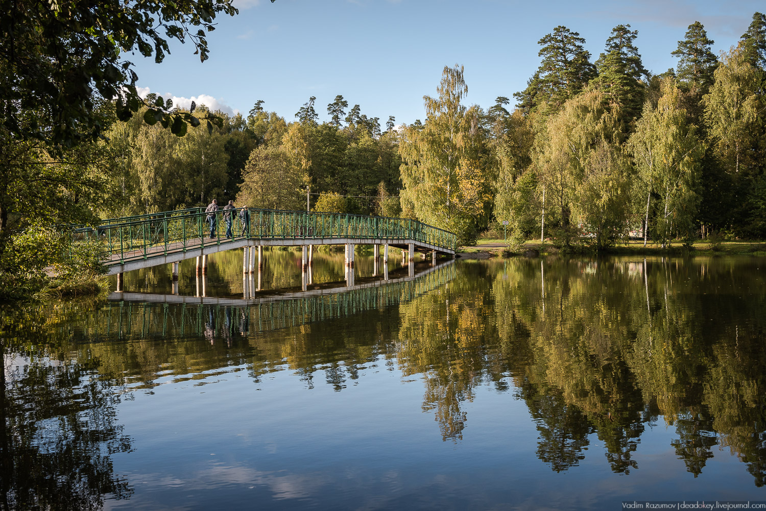 Алексеевская роща, путевой дворец Алексея Михайловича, Лосиный остров, музей охоты