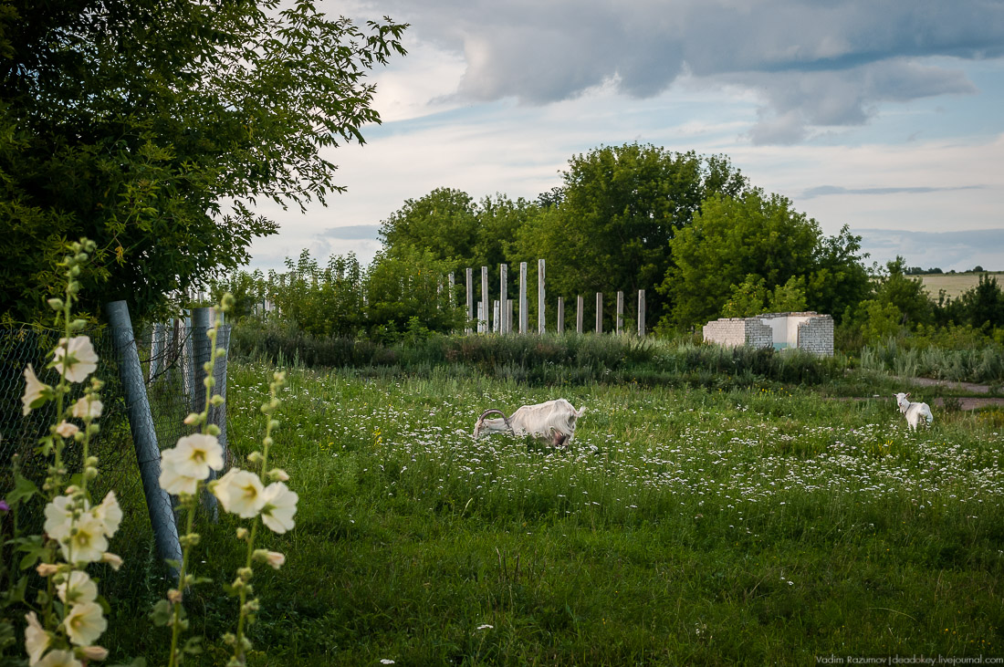 усадьба Озерки