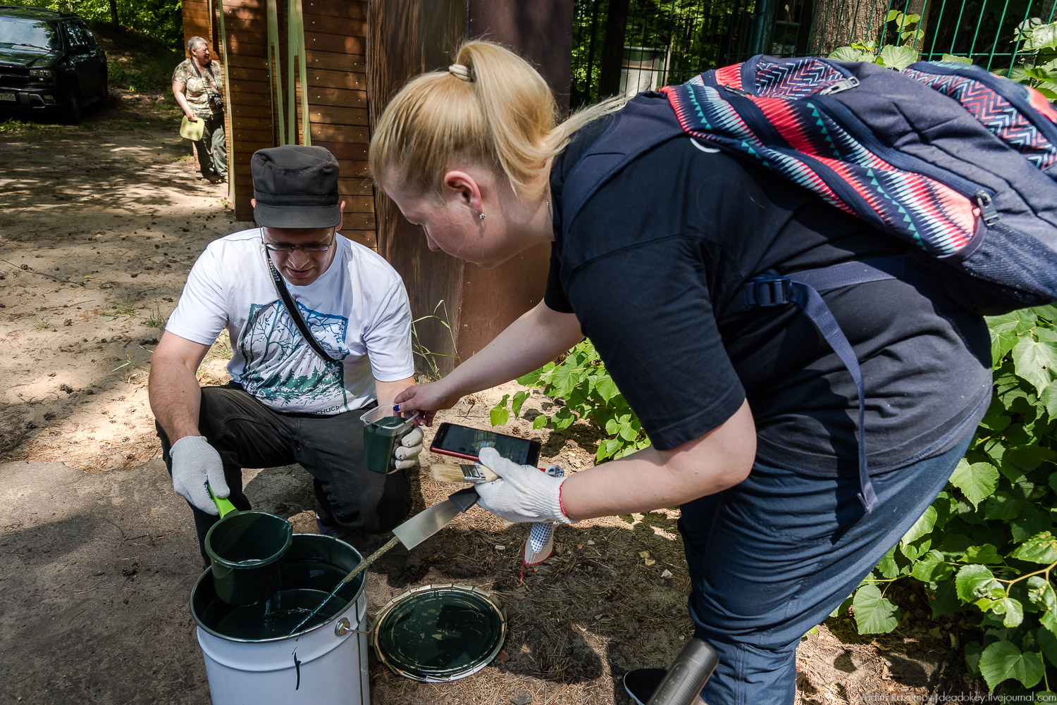 Экоэлектричка. Волонтерский поезд к зубрам в Приокский террасный заповедник