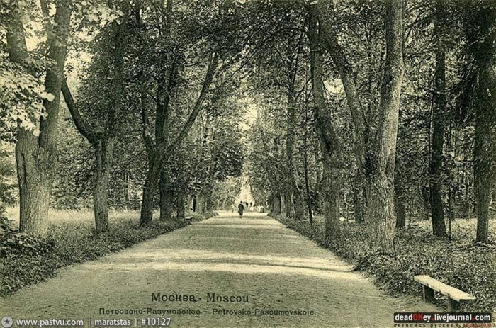 усадьба Петровское-Разумовское