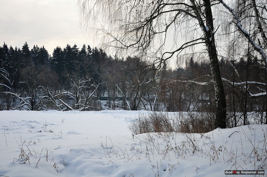 усадьба Котляково