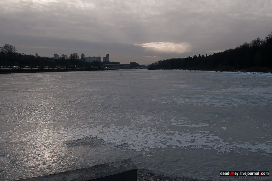 усадьба Виноградово