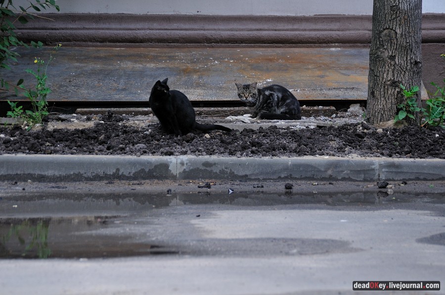 усадьба Чернова на ул. Поварская д.11