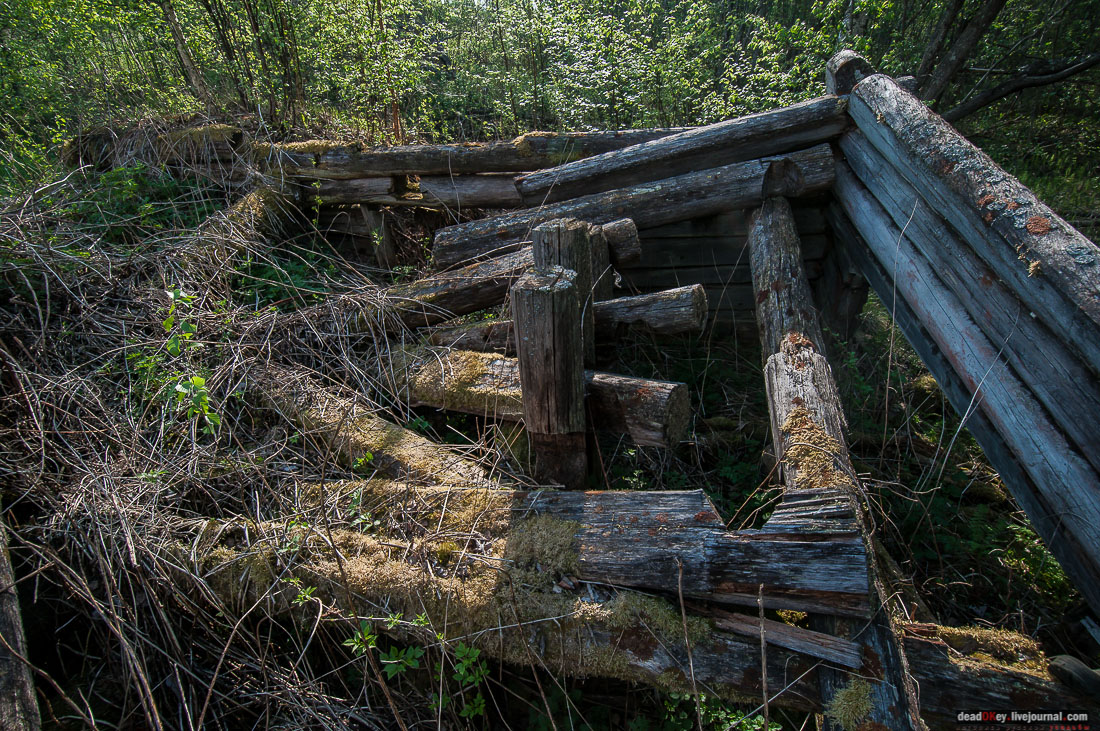 заброшенная деревня Сяпчозеро, Карелия, Кондопожский район
