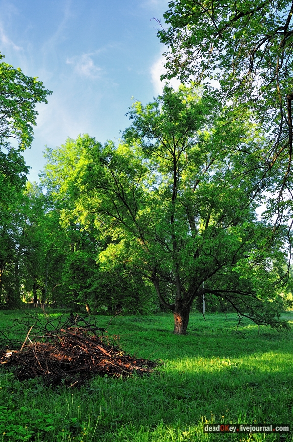 усадьба Прохорово