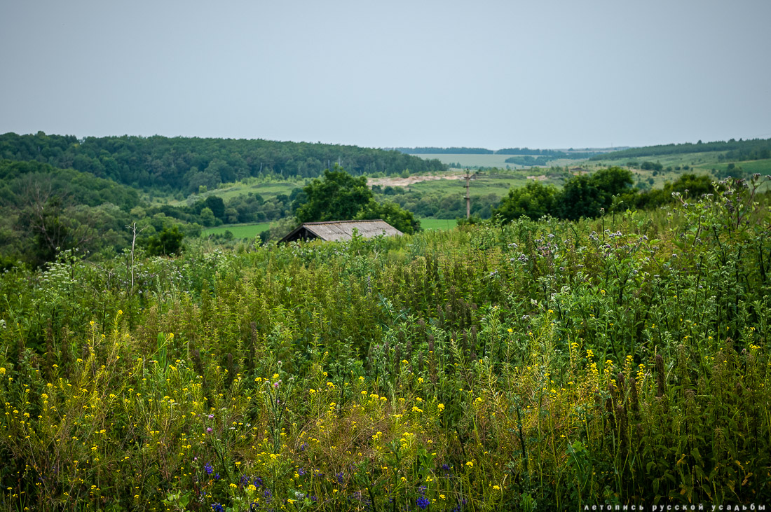усадьба Пальна-Михайловка